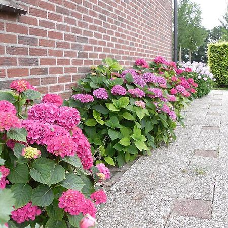 Noordbeemster Nicolaashoeve Beemster B&B 외부 사진