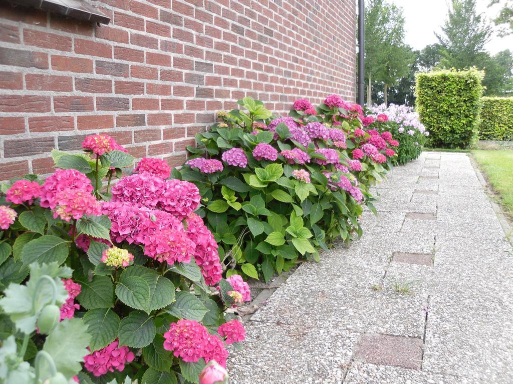 Noordbeemster Nicolaashoeve Beemster B&B 외부 사진
